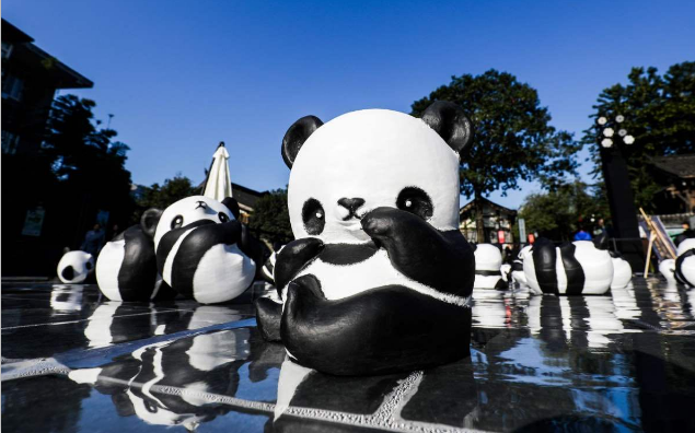 1864熊猫巡展公益环保活动启动