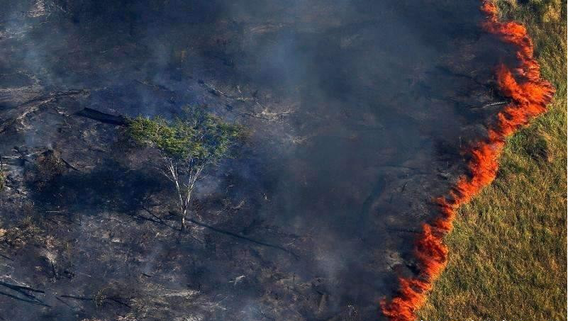 亚马逊森林大火 被烧痛的地球之肺